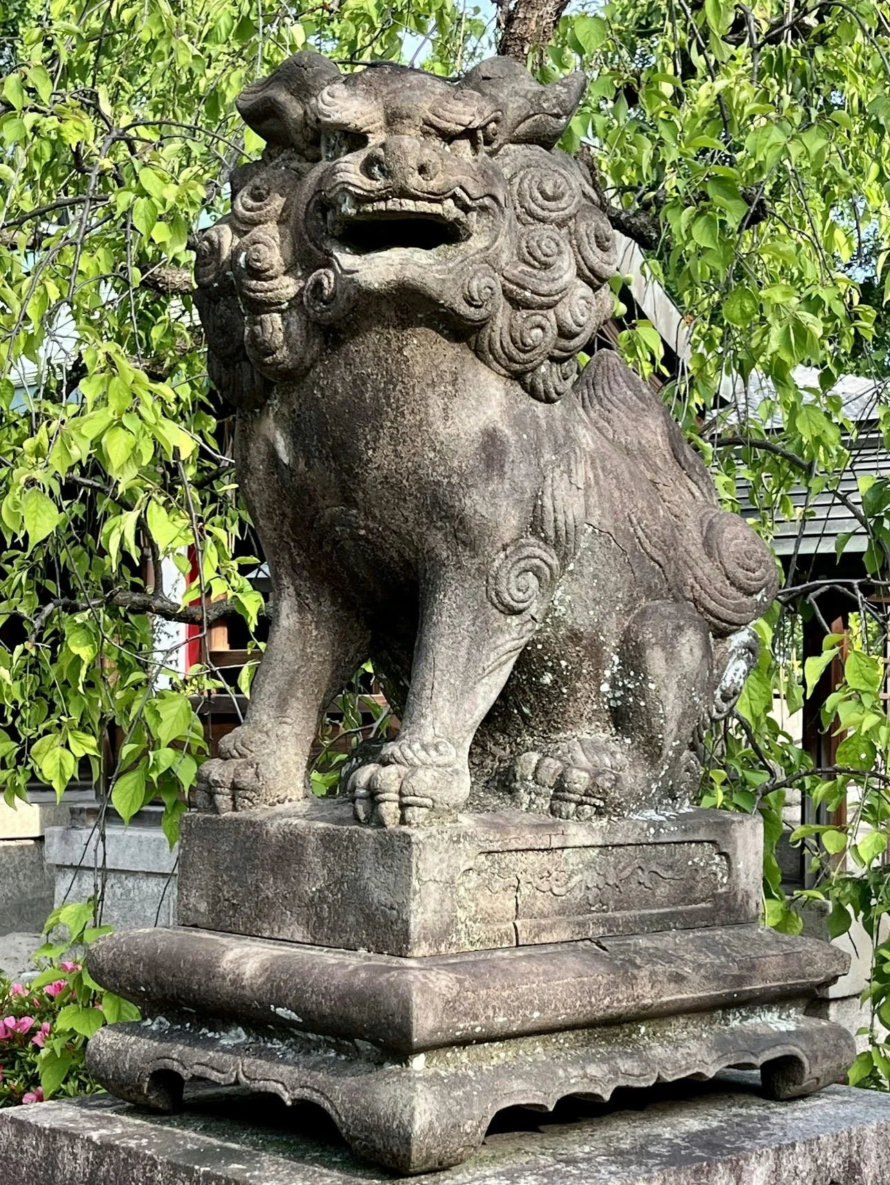 Image 28.jpeg