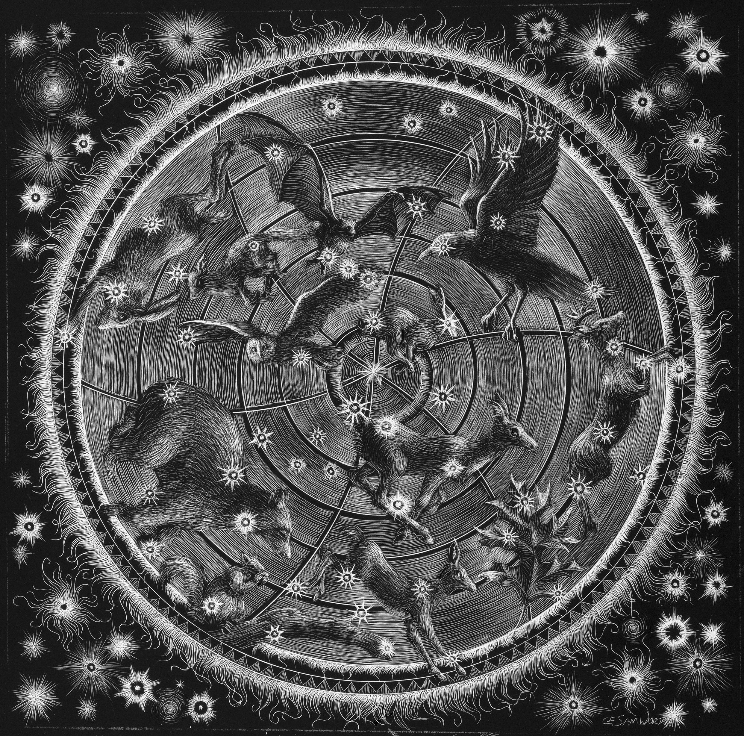 Samworth:Orion.jpg