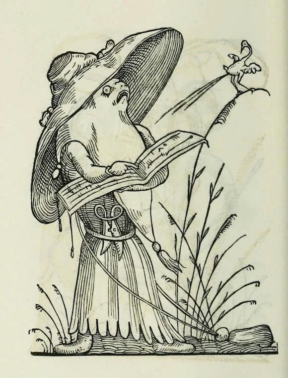 Image 41.jpeg