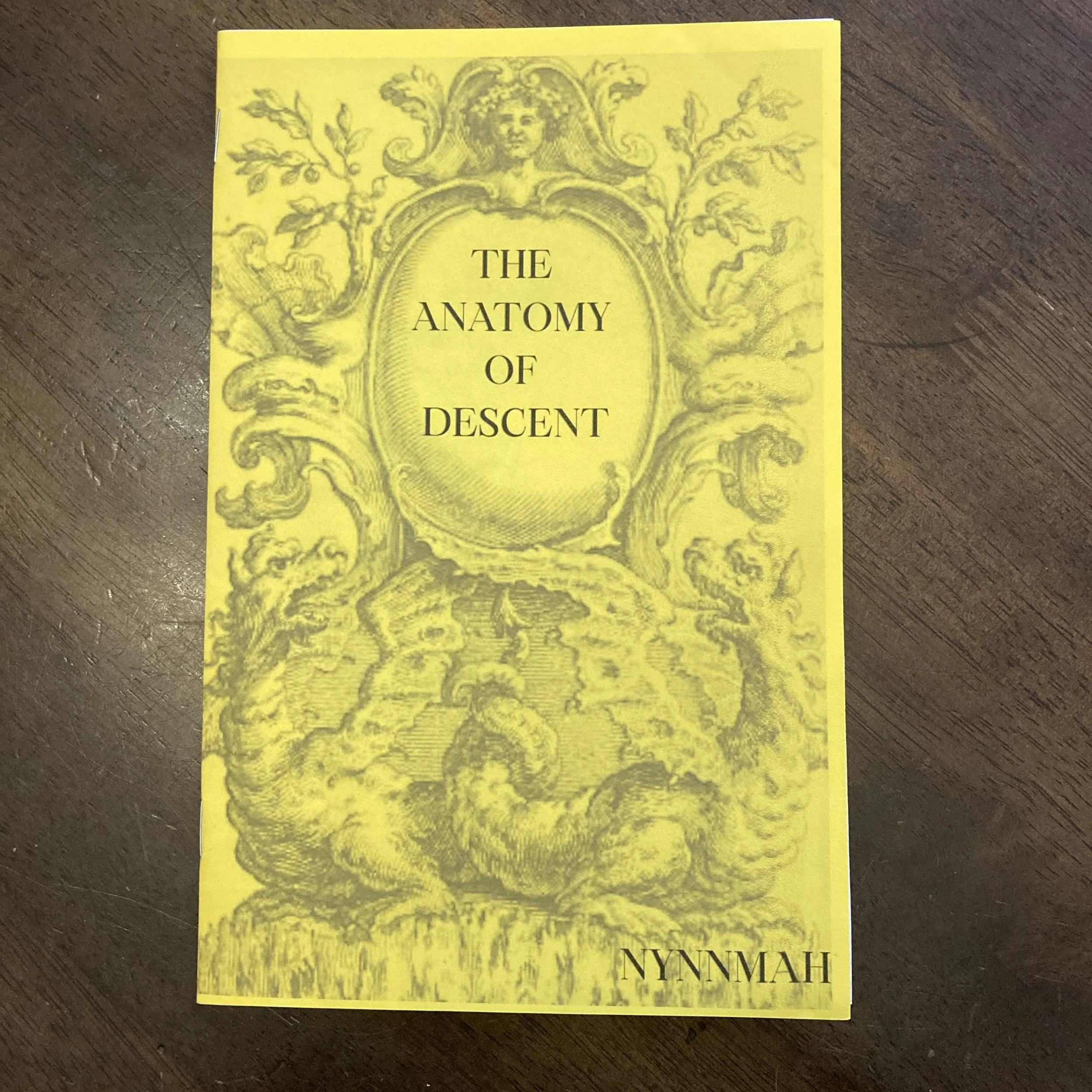 The Anatomy of Descent Zine by Nynnmah