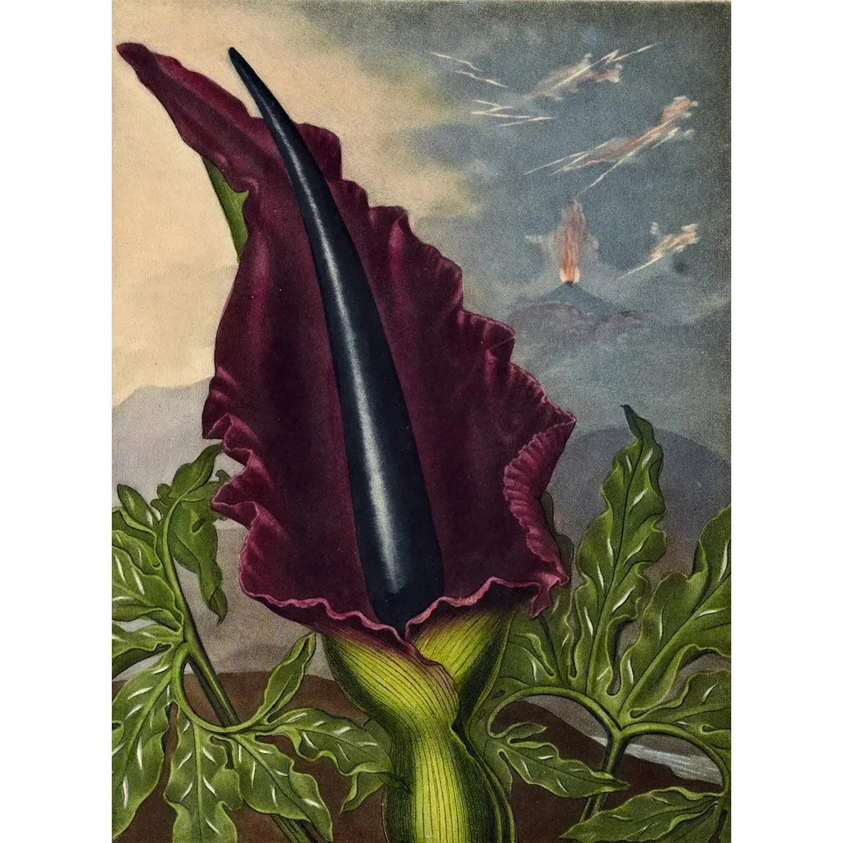Untitled-1 copy.jpg