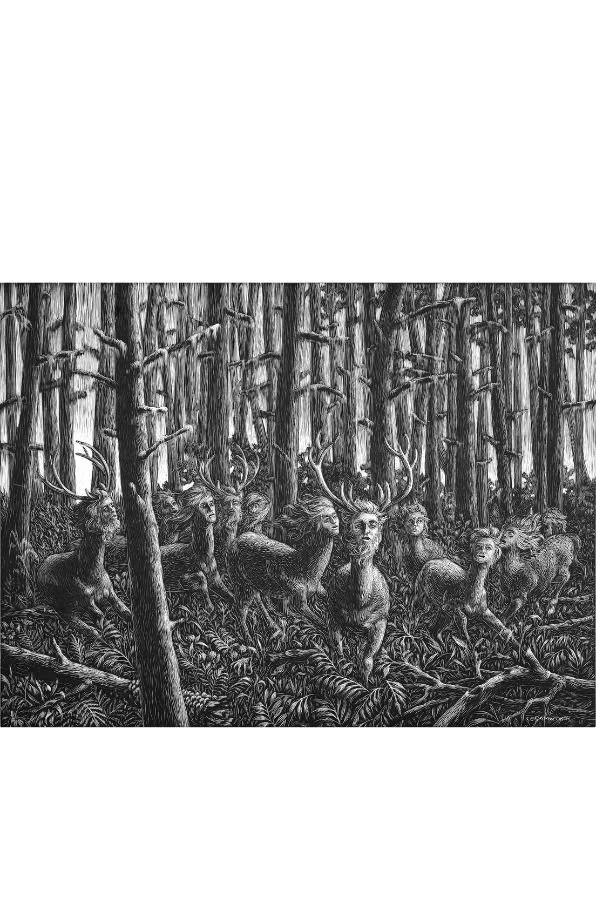 woods 2.jpg