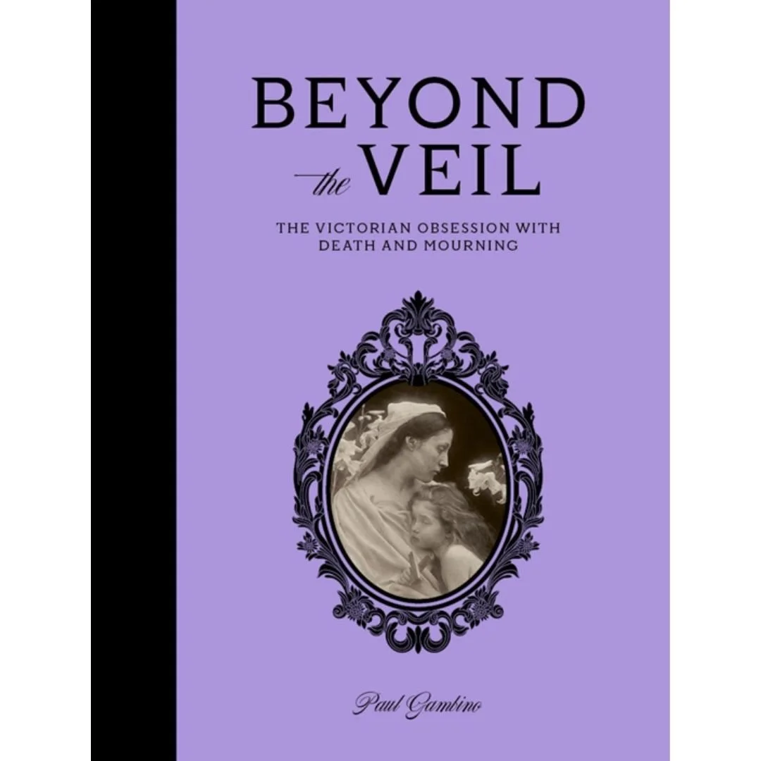 beyond the veil cover.jpg