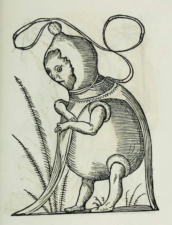 Image 42.jpeg
