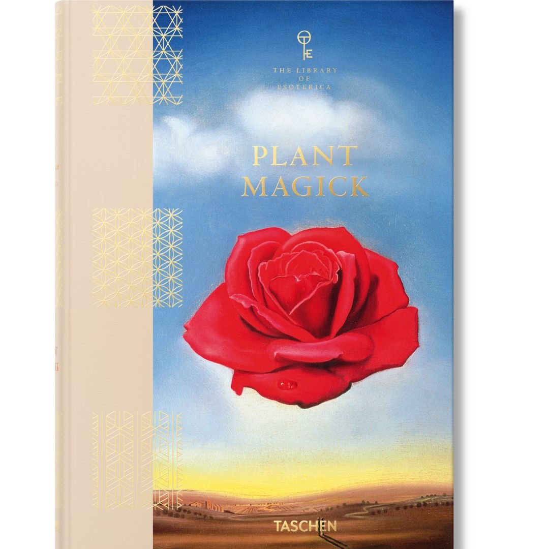 plant magic cover.jpg