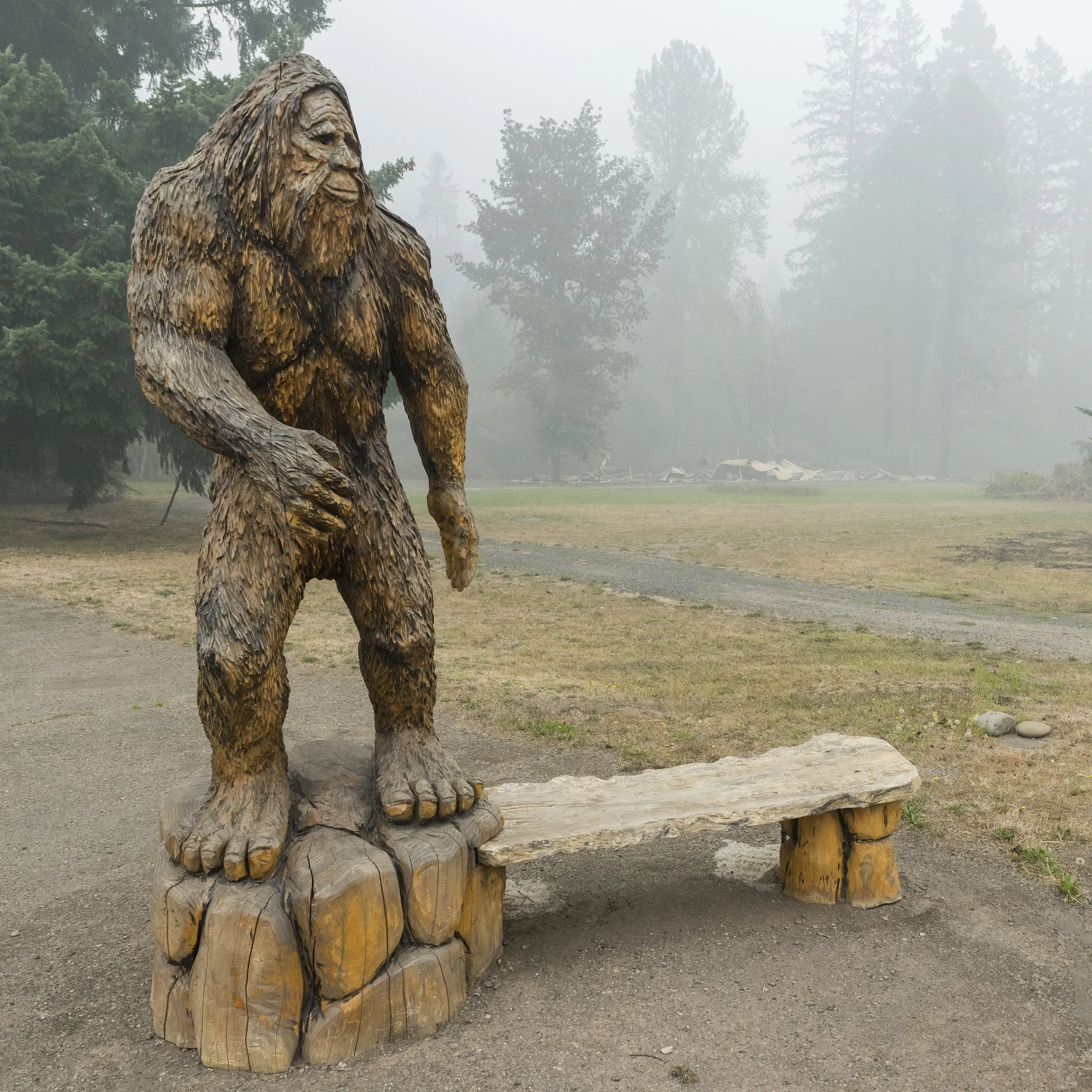 Sasquatch_is_still_standing_(50345857837).jpg