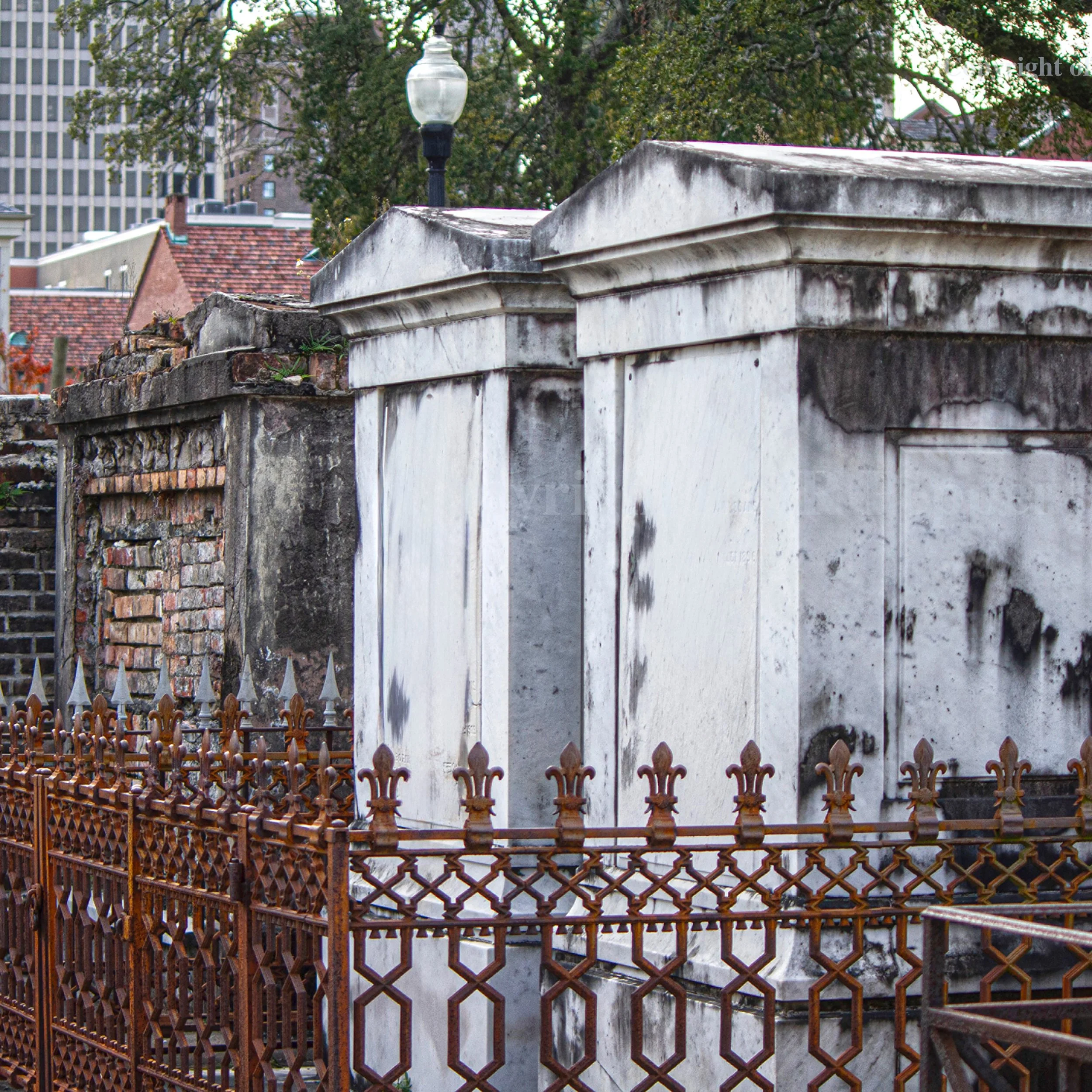 Online Talk · A Year and a Day: The Fragile Beauty of the Cemeteries of New Orleans with JR Pepper