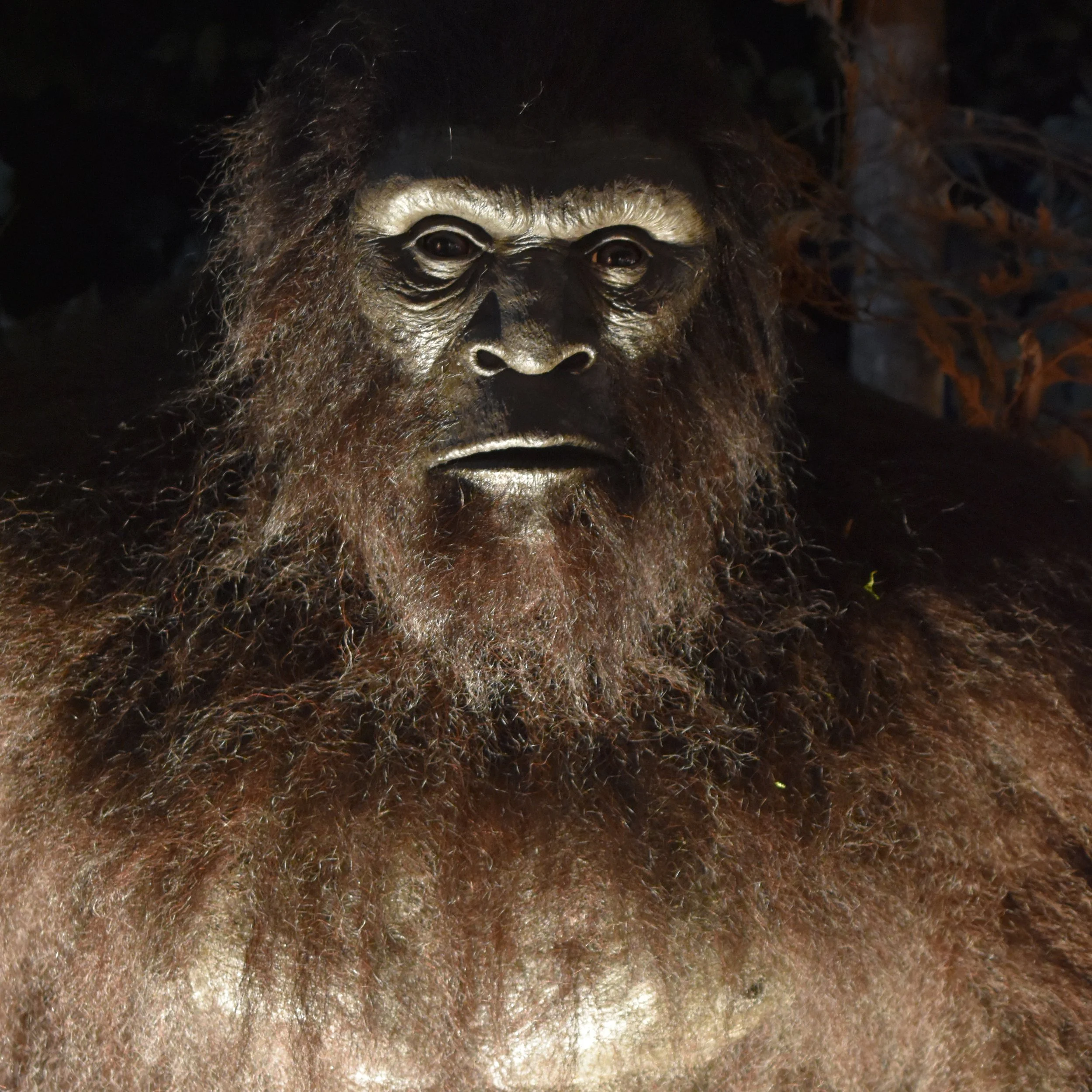 Murphy_the_Bigfoot.jpg