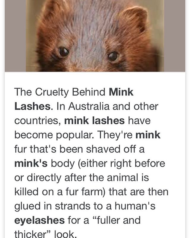 This is important to me, and should be important to you. Think twice before you buy mink lashes. Don&rsquo;t buy them. ❤️❤️❤️