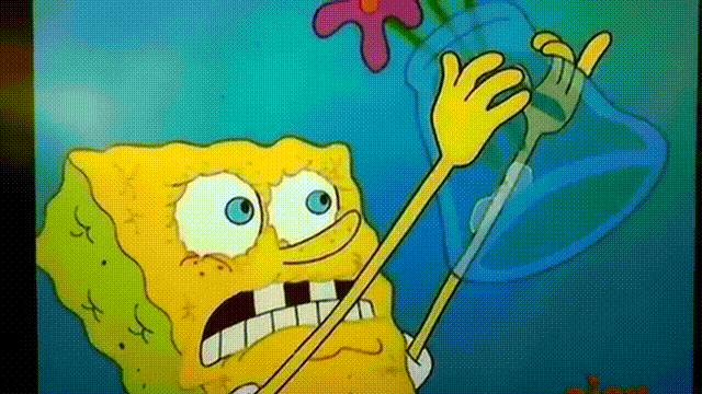 spongebob gif.gif