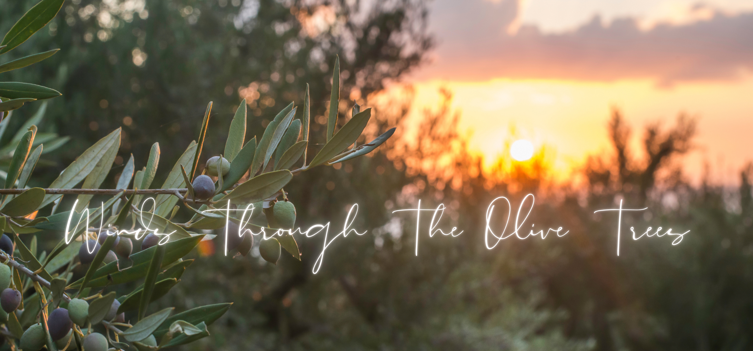 Winds Through The Olive Trees — Mount Olive Lutheran Church