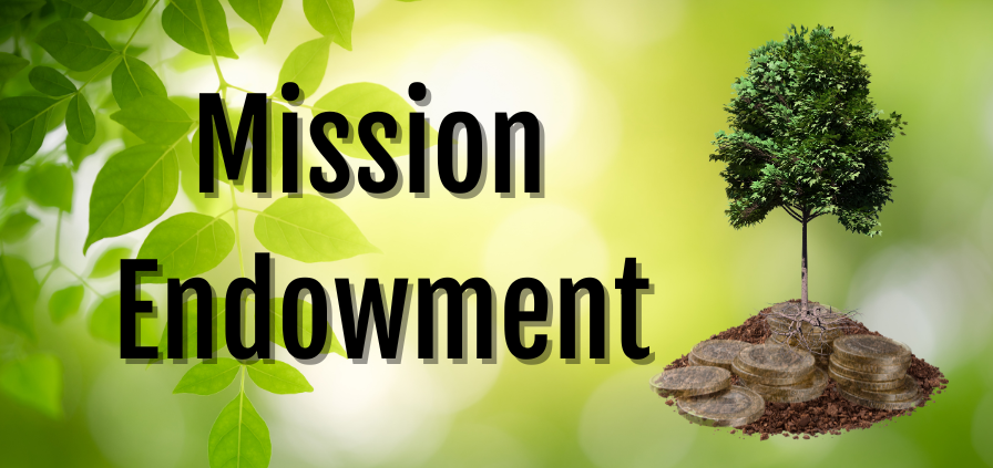Mission Endowment Card.png