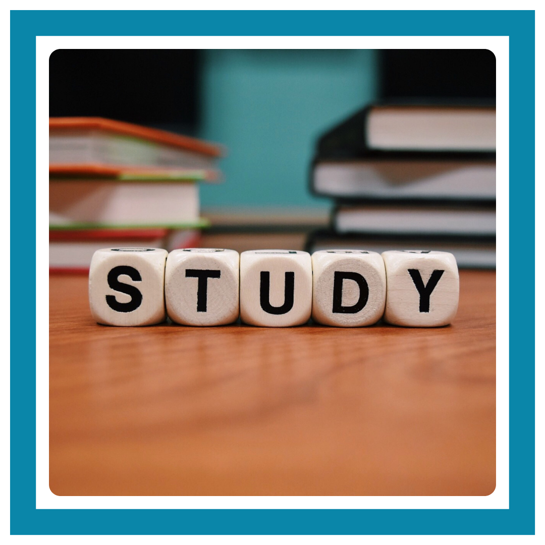Book Study