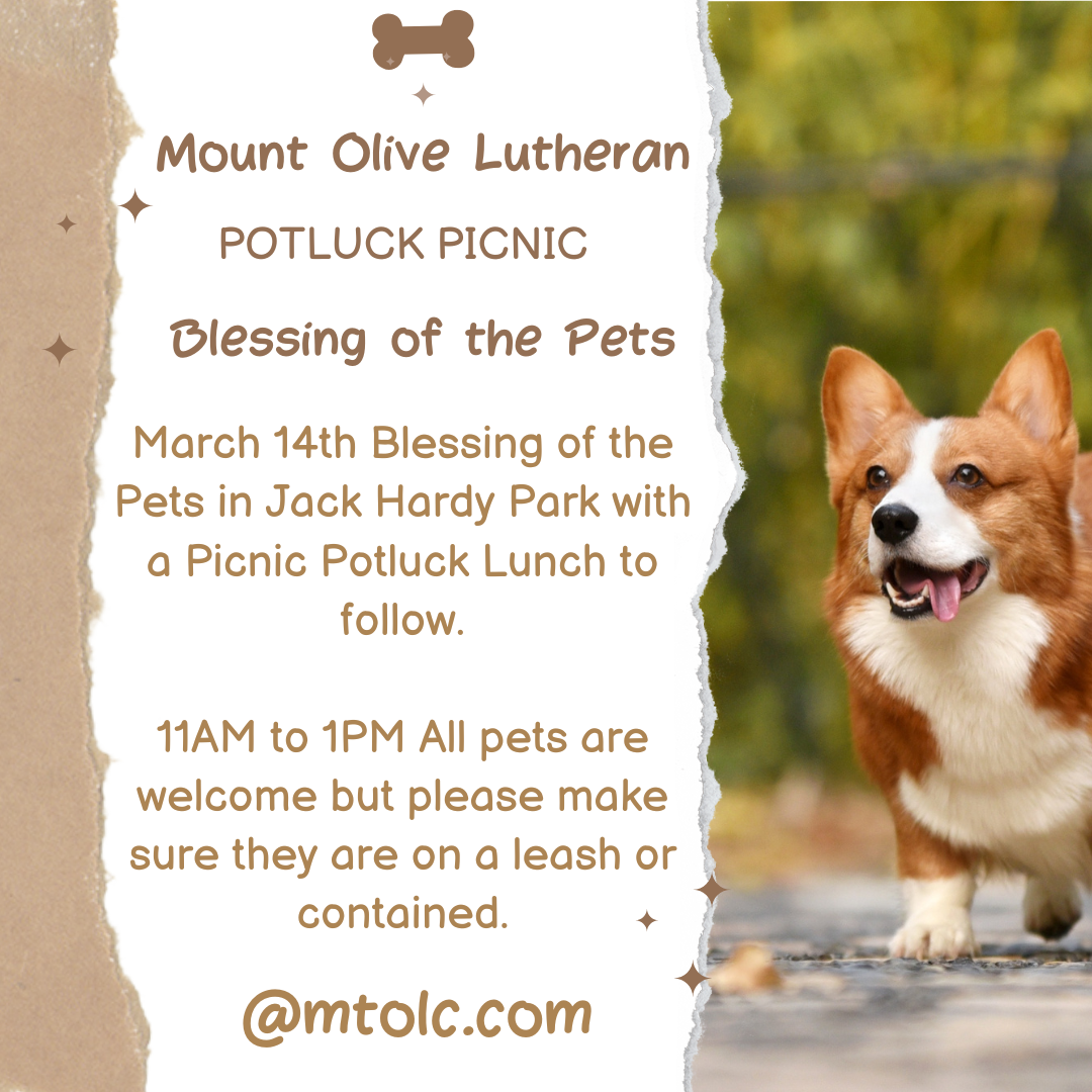 Blessing of the Pets &amp; Potluck Picnic