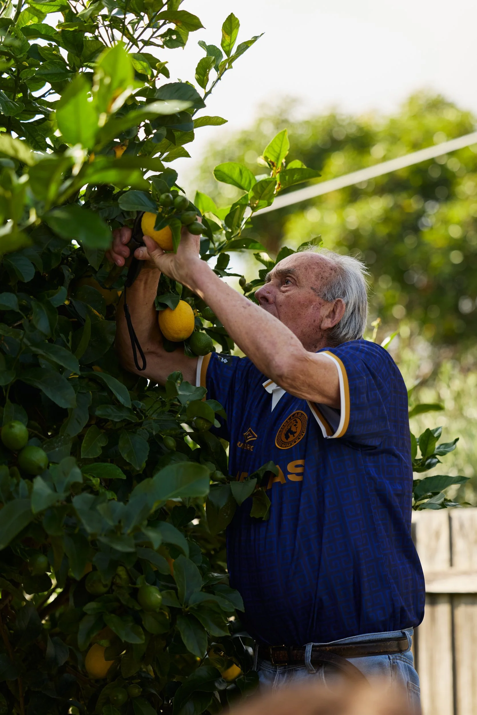 Older man tending a fruit tree in his garden wearing a blue Umbro Hellas jersey