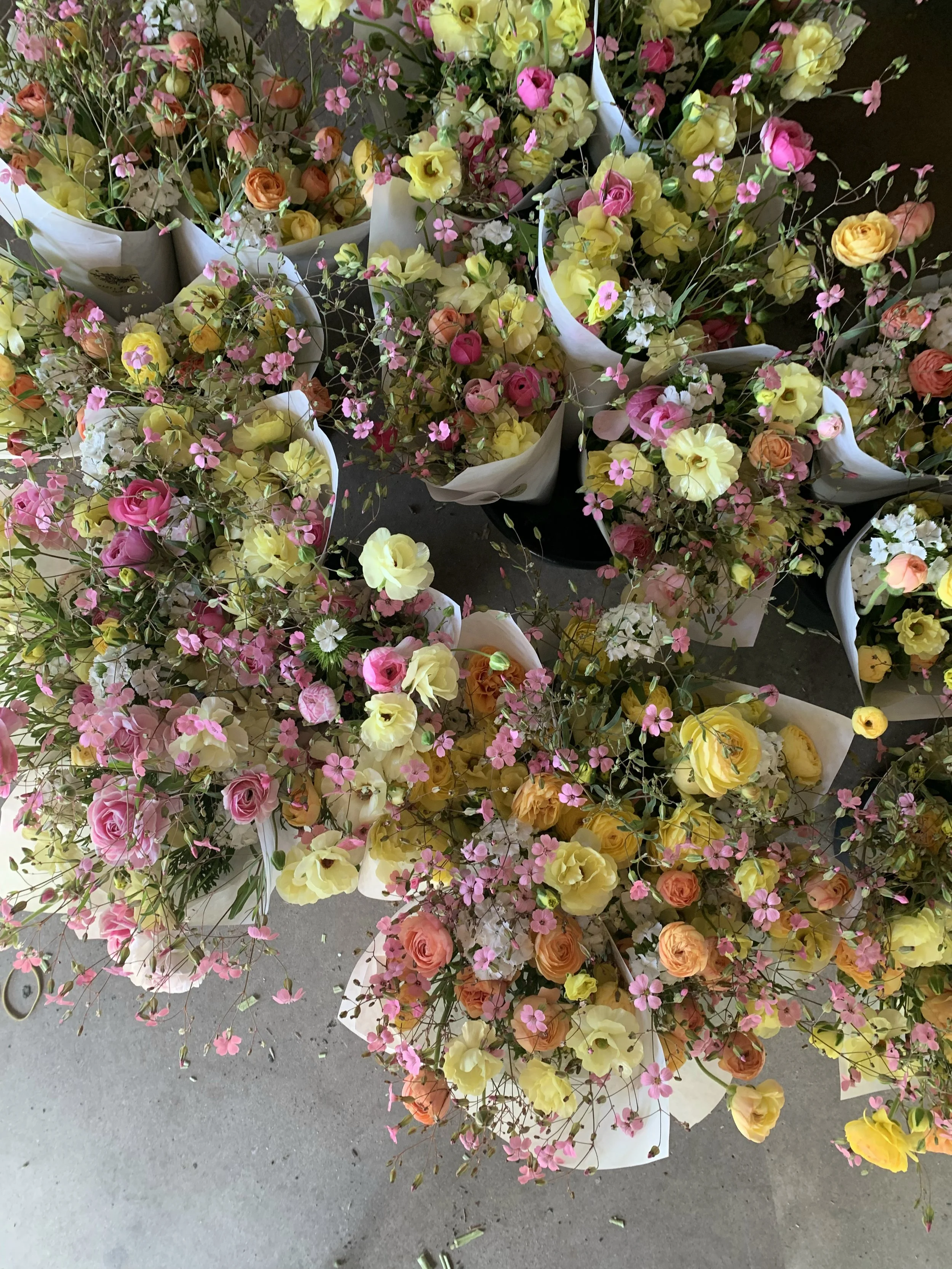 Delivery FULL SEASON Flower Shares - 12 weeks total