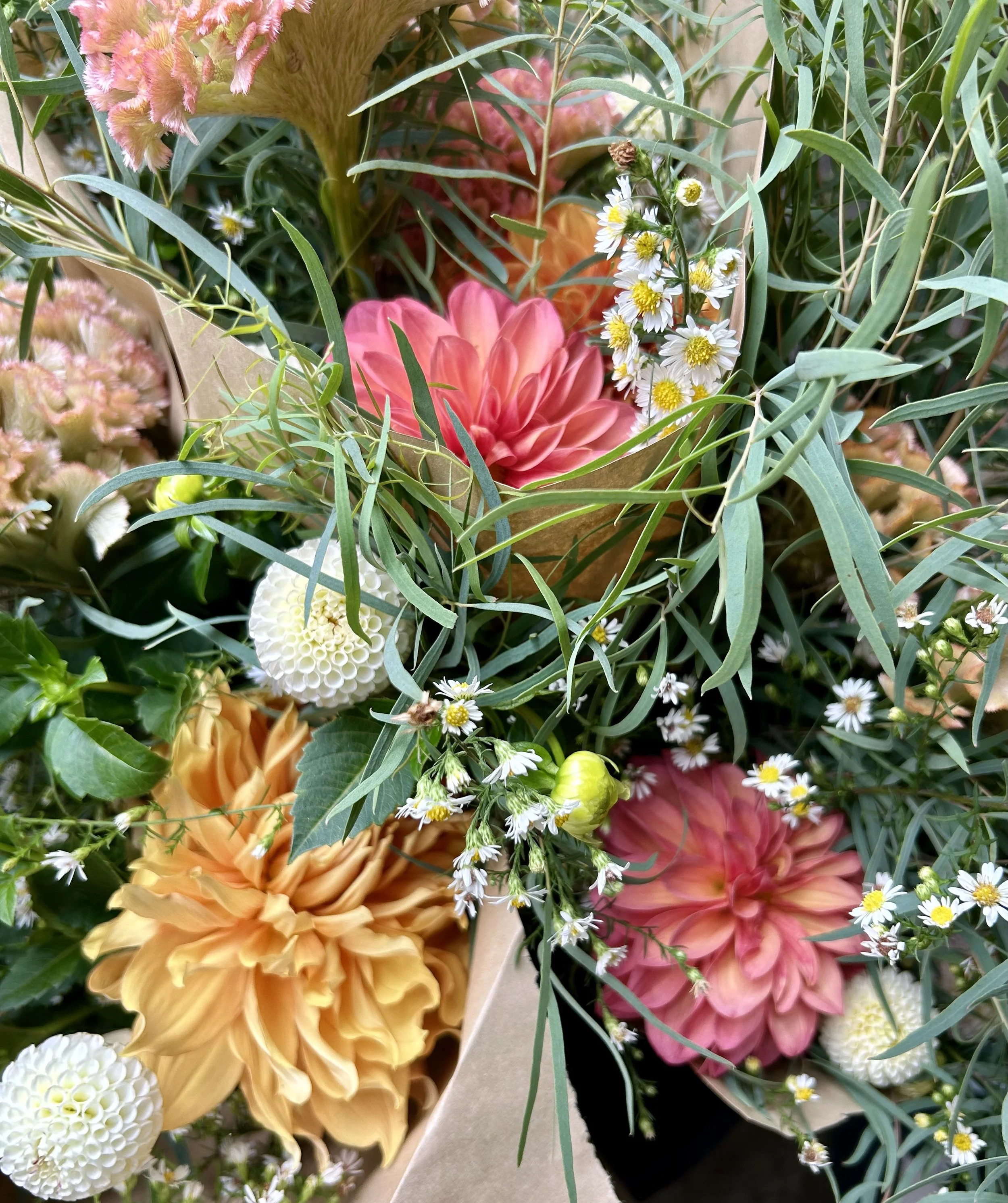 Delivery Fall Flower Shares - 6 weeks