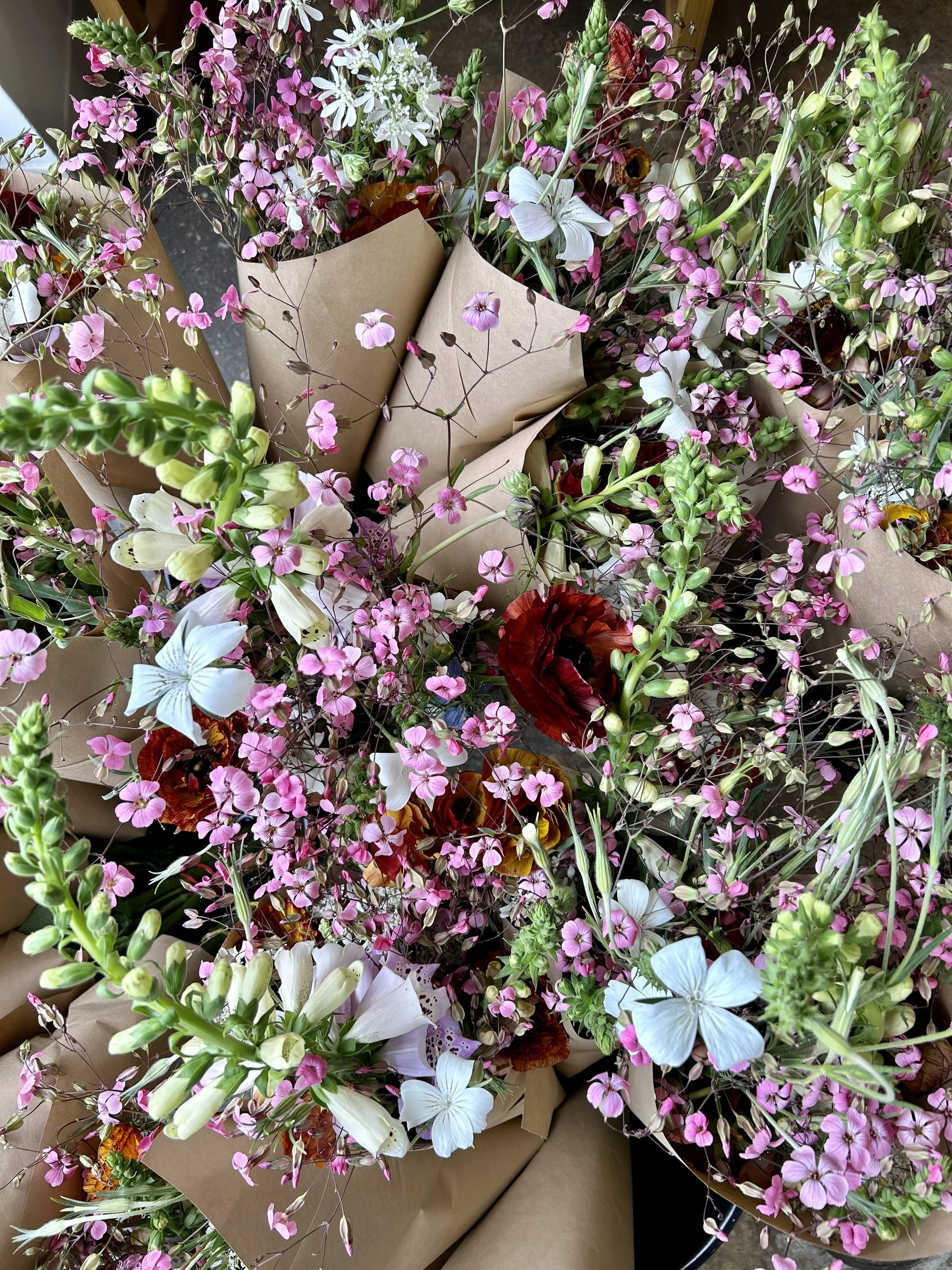 Delivery Spring Flower Shares - 4 weeks