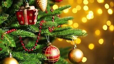 A Story of Christmas, Family, and Coming Out