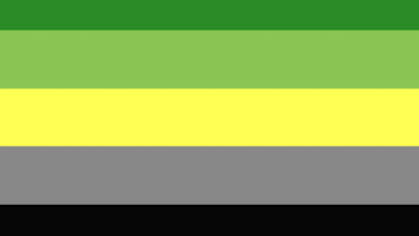 Aromantic-Pride-Flag.png