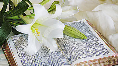 Bible-and-Flowers-378x213.jpg