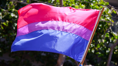 Bi-Pride-Flag-378x213.jpg