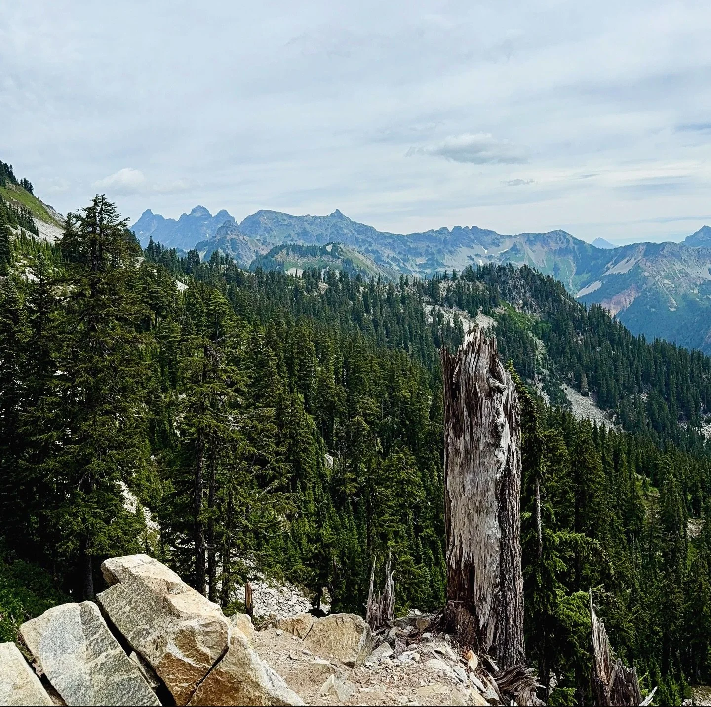 First backpacking trip of the season with @whiskey_root 🏔️ 🦟