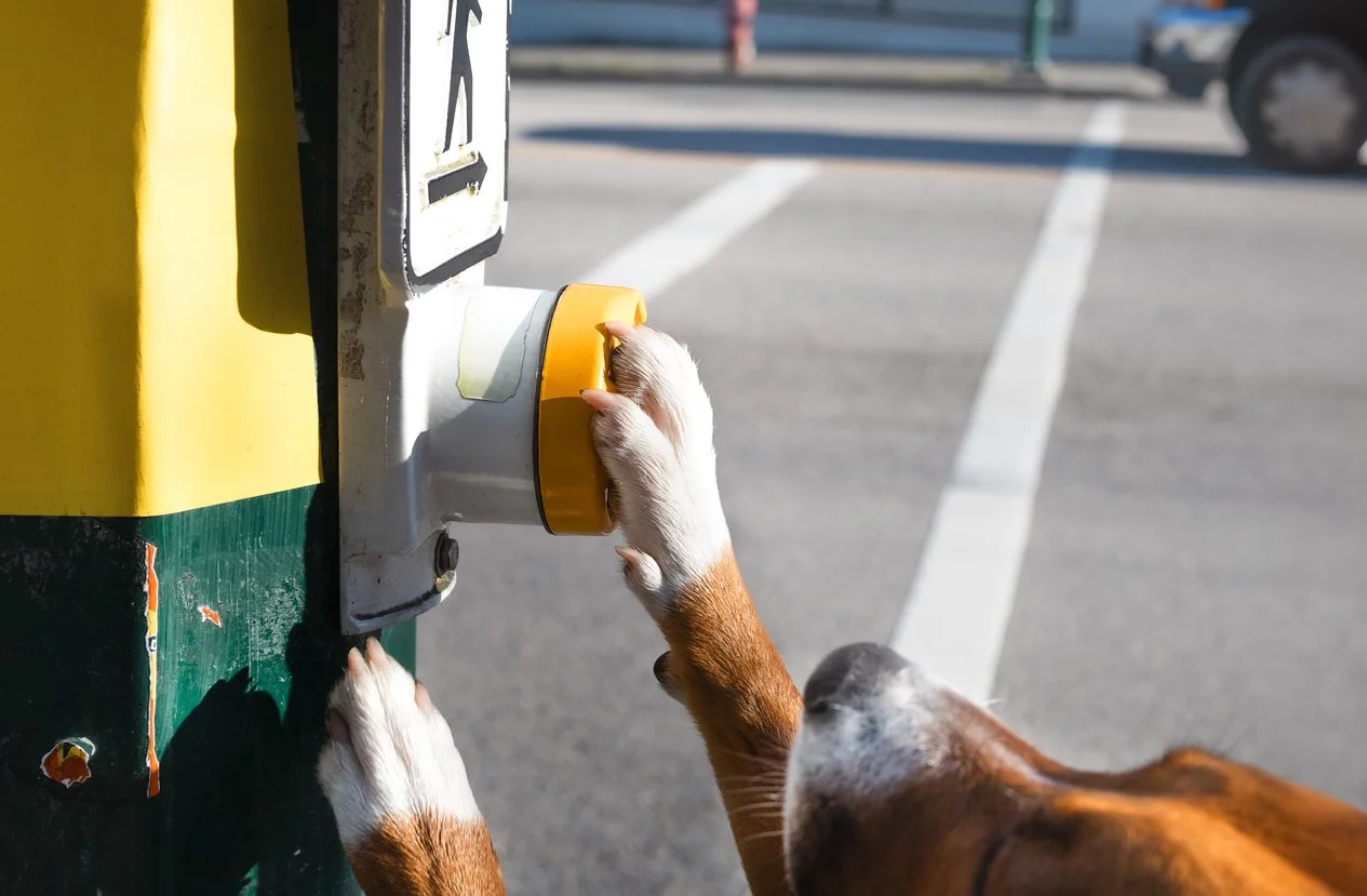 AI Still Needs a Gentle Nudge—And That’s Good News for UX