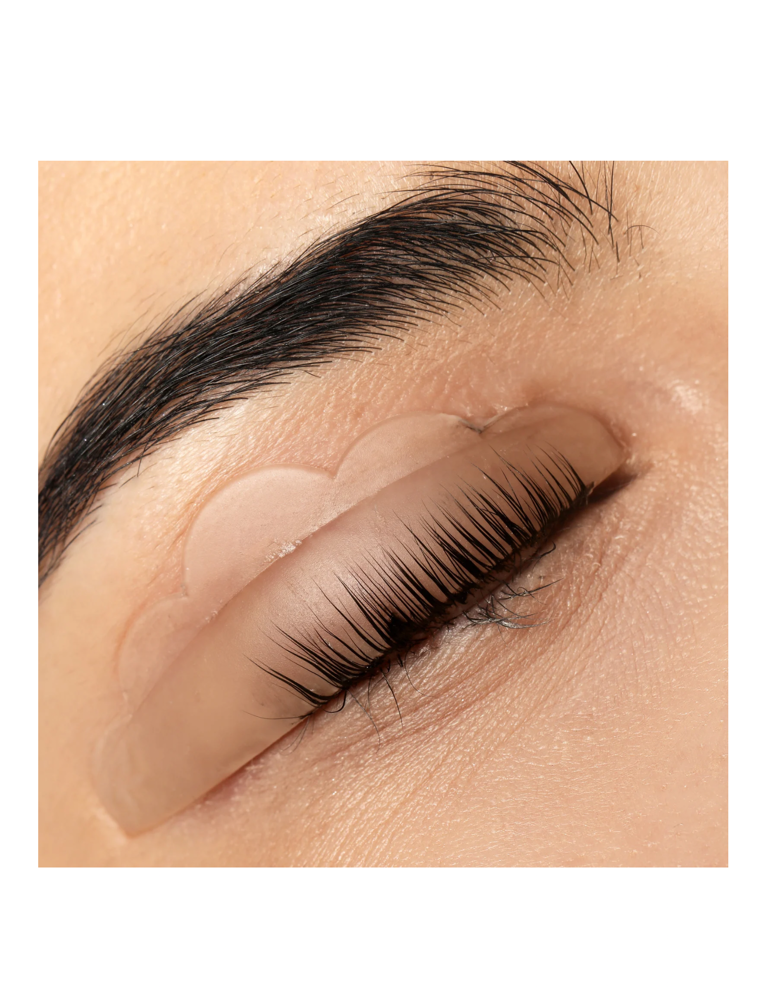 Untitled design-21.PNG