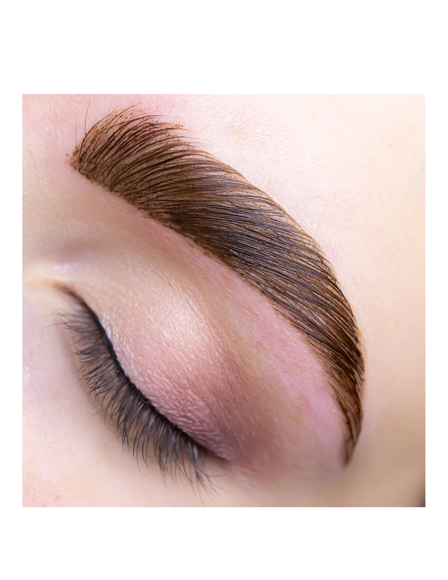 Untitled design-22.PNG