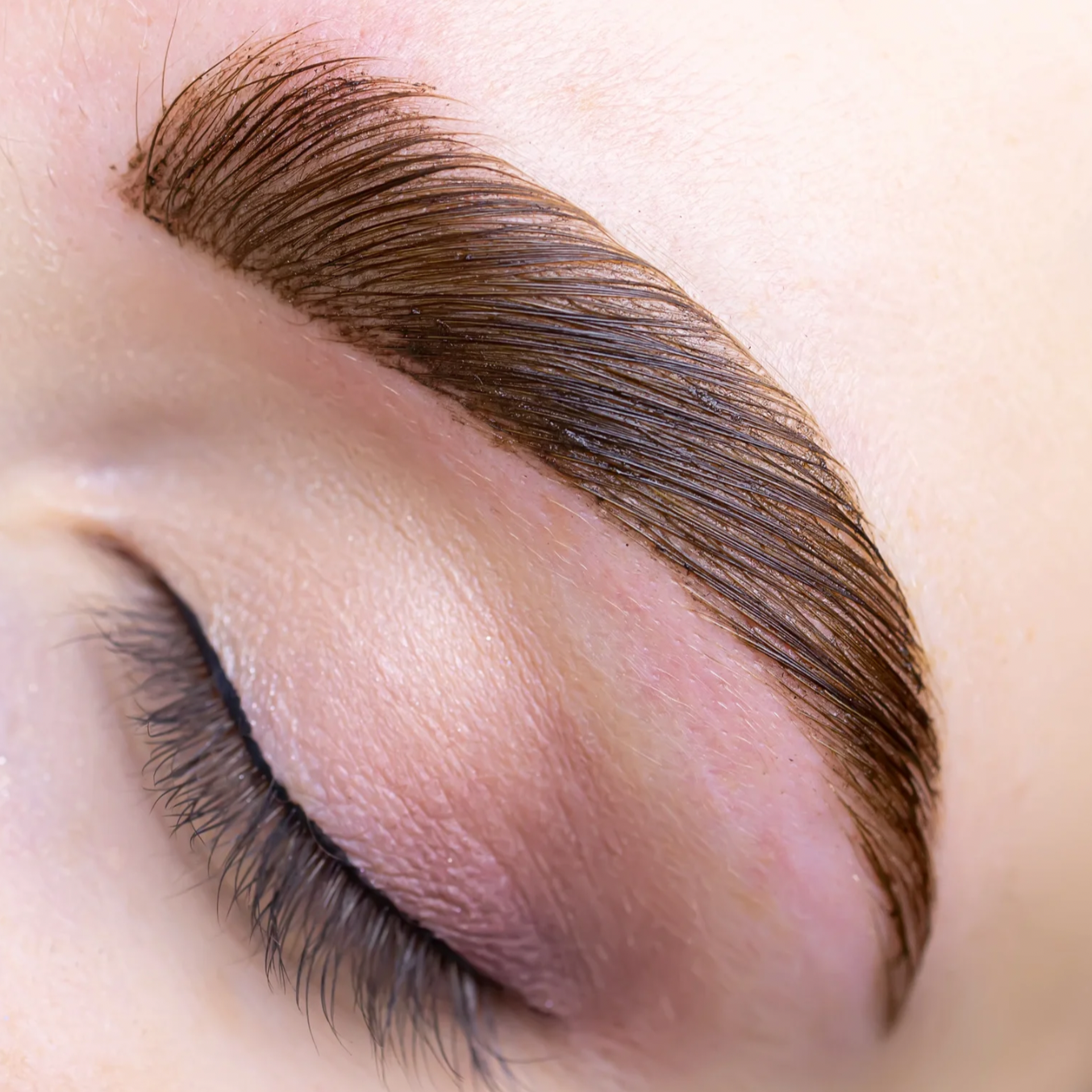 Close-up of a person's eye with brown, well-groomed eyebrow and subtle pink eyeshadow.