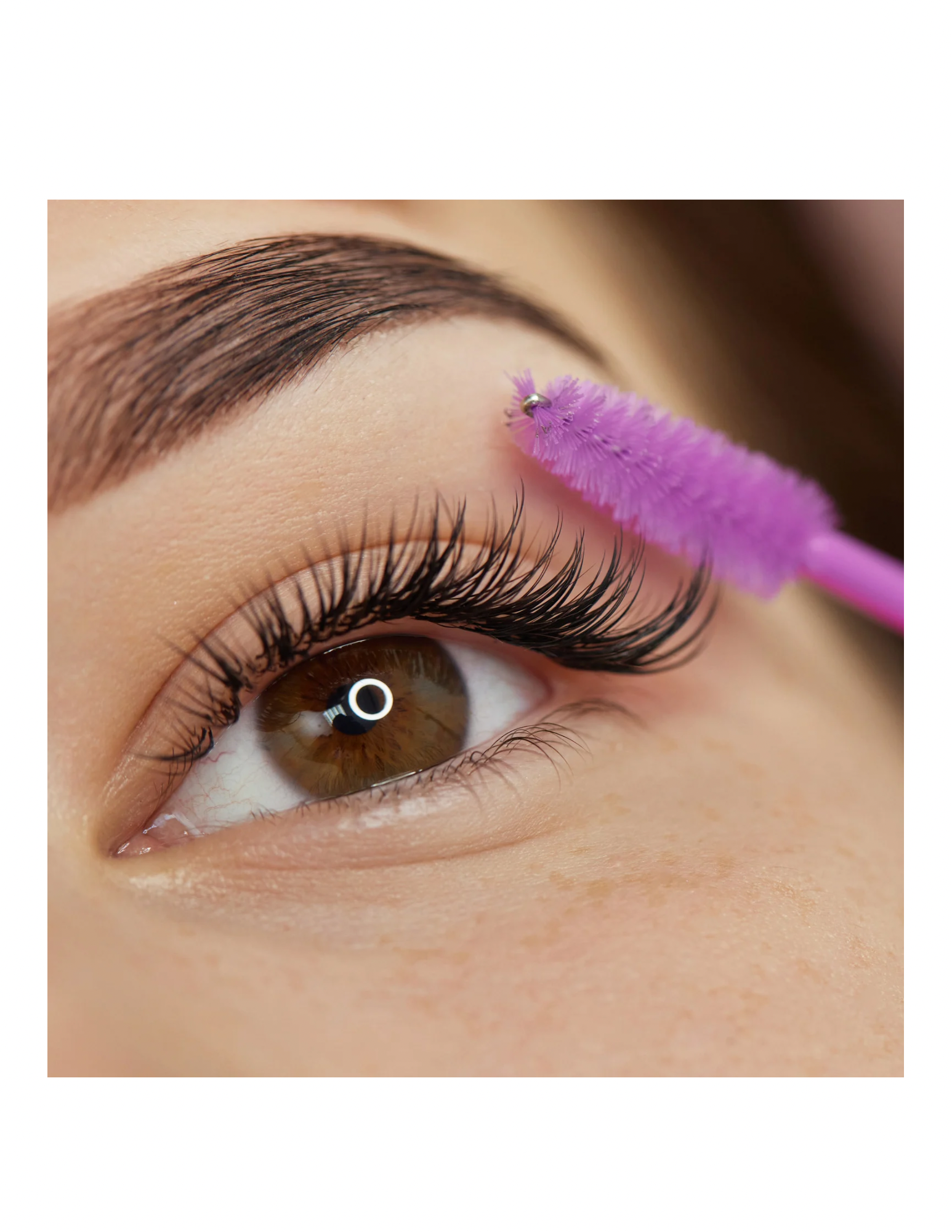 Untitled design-19.PNG