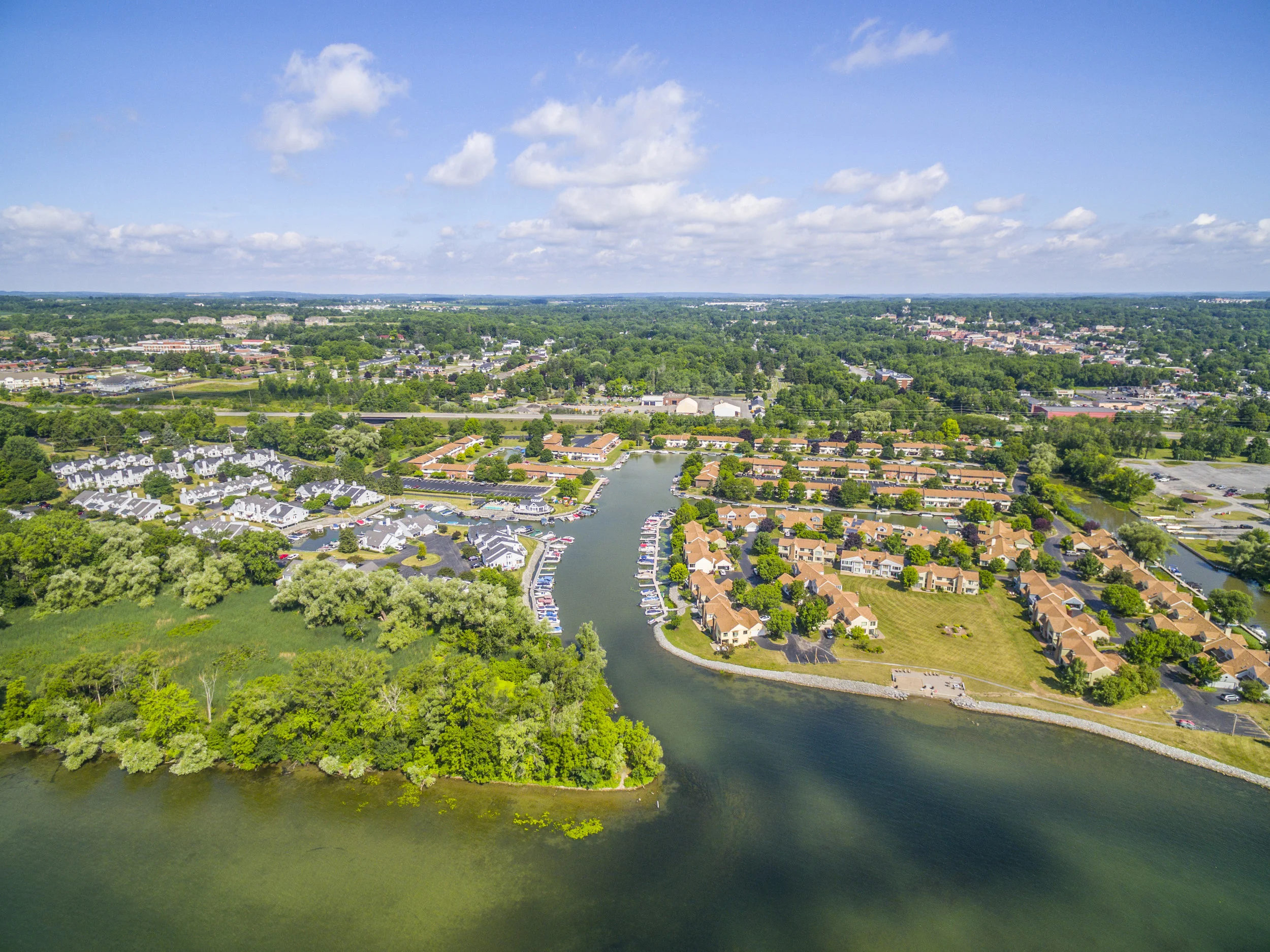 DJI_0203.jpg