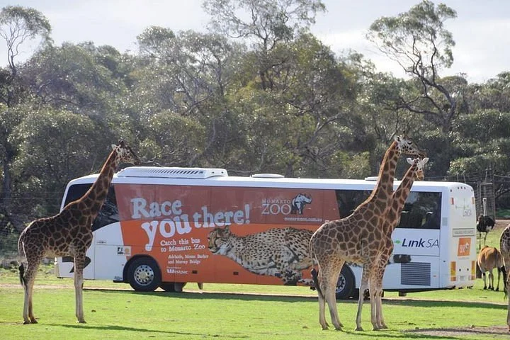 Fed Zoo Bus 2026