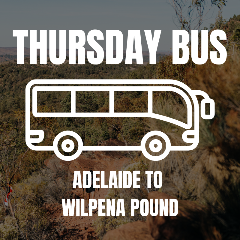 Thursday Bus - Adelaide to the Flinders Ranges