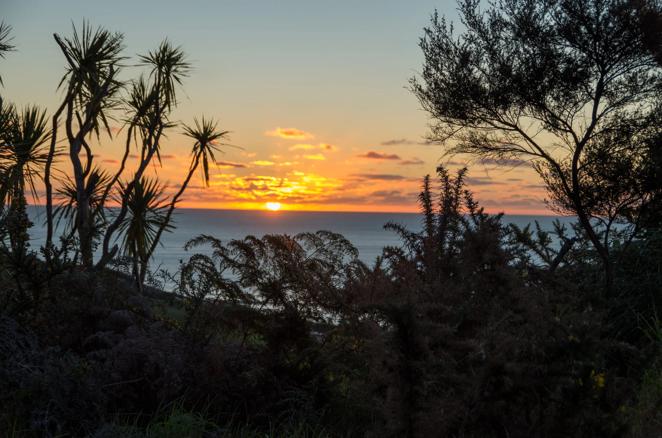 Thanks! And lab-kitchen updates
