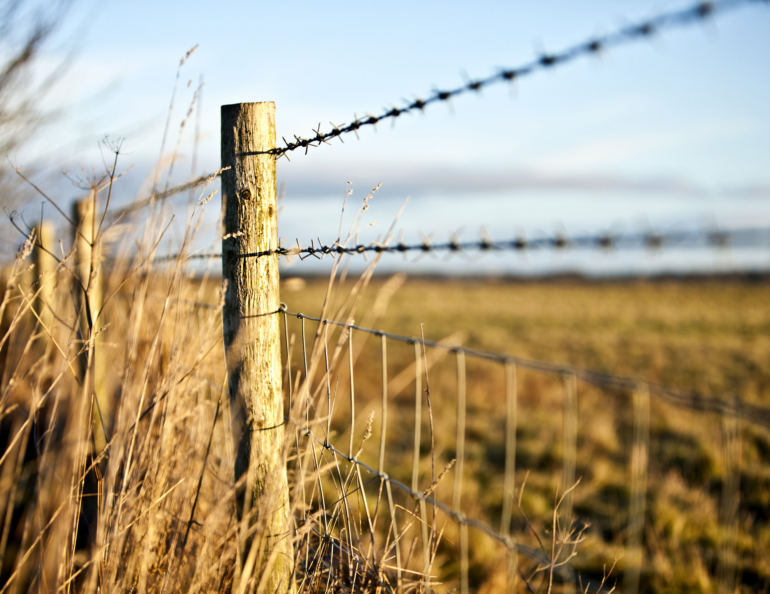 Half a limerick and the updates....