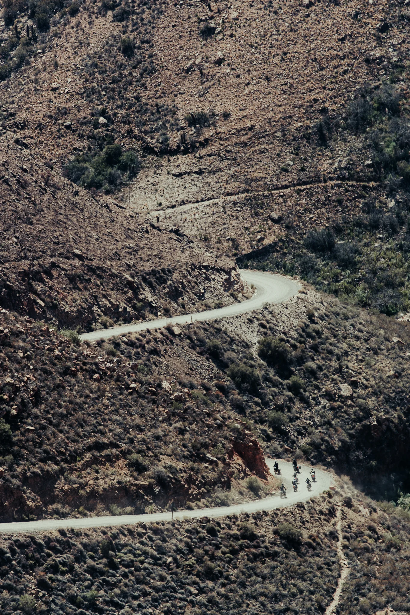 BL6I7620.jpg