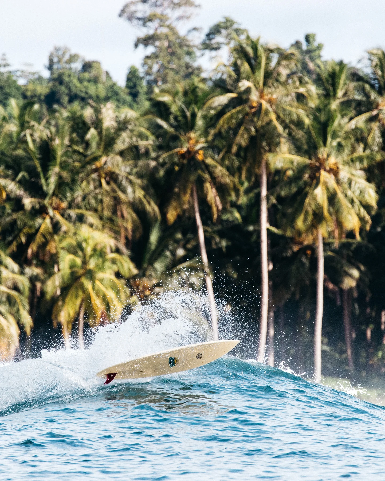 @harrymarkphoto-Mentawais-3194.jpg