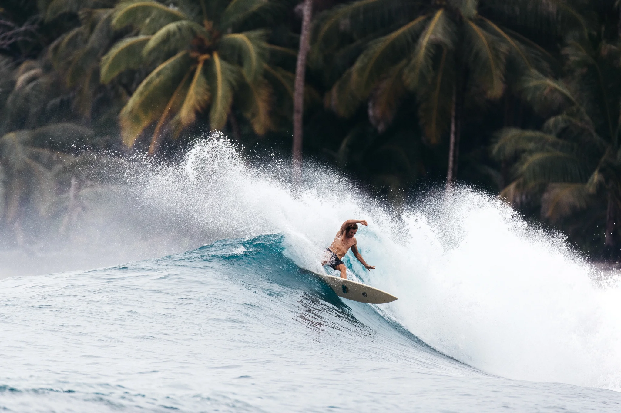 @harrisonsan@harrymarkphoto-Mentawais-3868.jpg