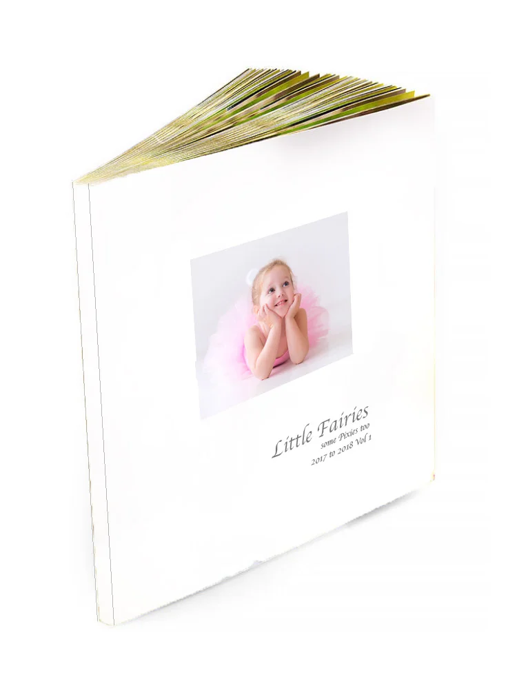 Little Fairies 2017 to 2018 Book V1