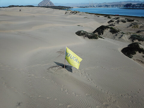 Trader-Tourist-Refugee-flag1.jpg