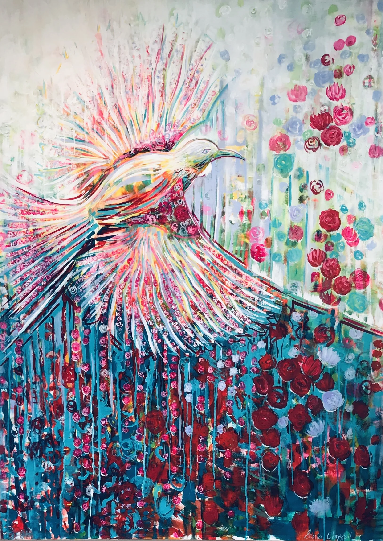 NZ BIRDS