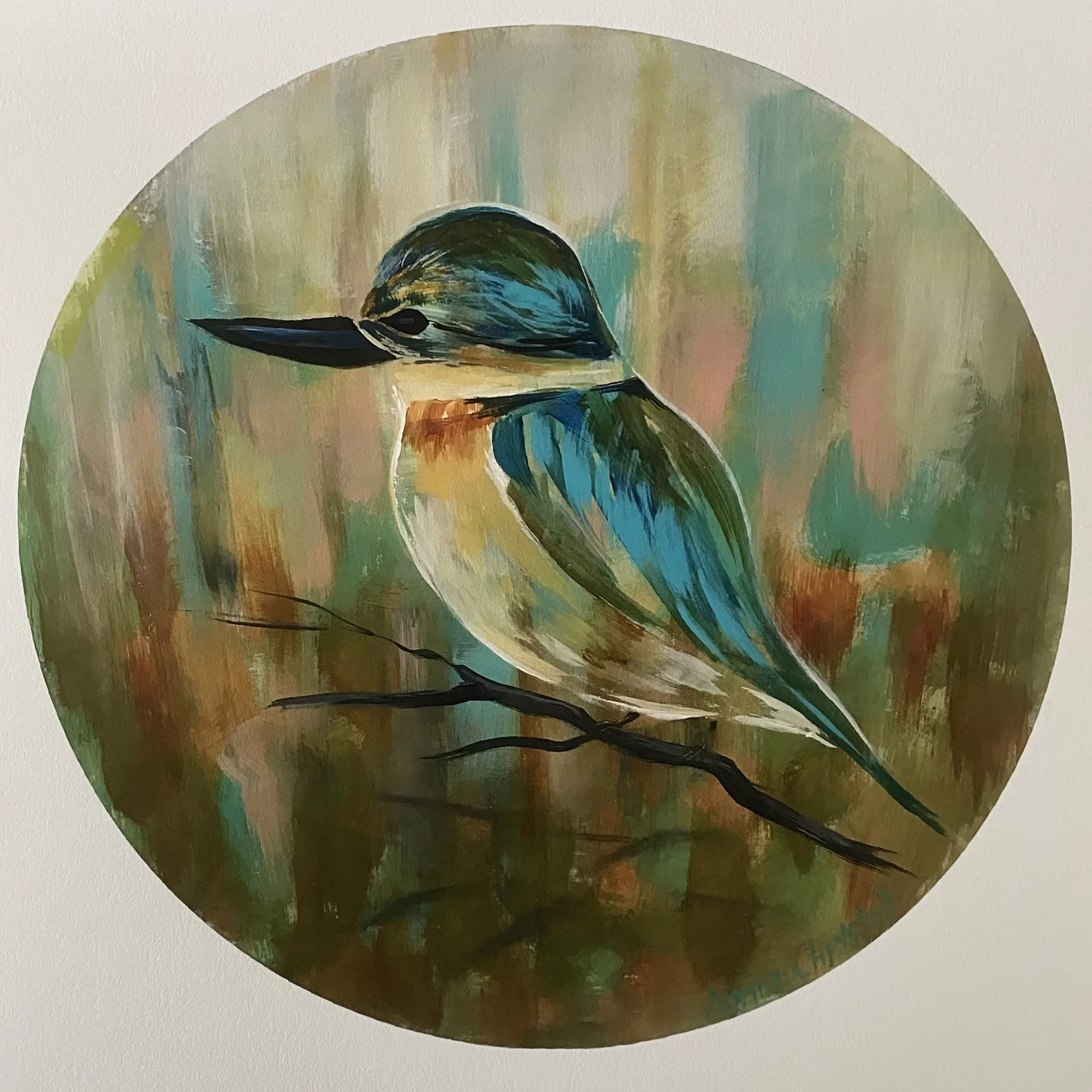 Kotare - Sacred Kingfisher.jpg