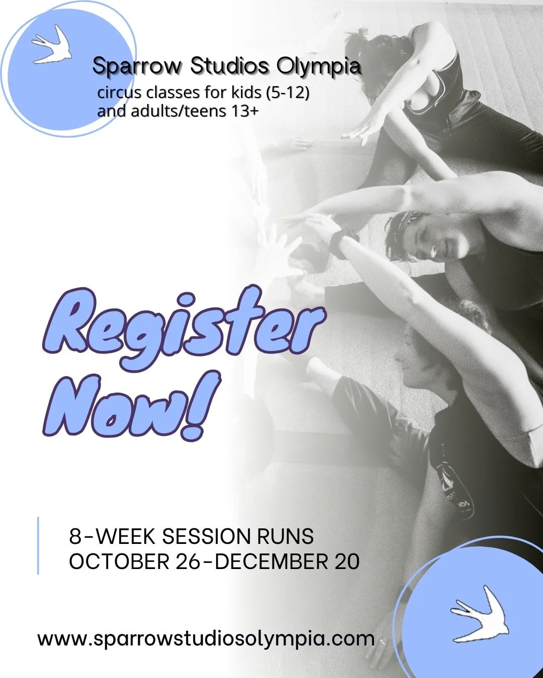 tis time to register for upcoming classes! see the full schedule, learn more, and register on our website, link in bio

(www.sparrowstudiosolympia.com)

#circusschool #circuslife #olympiawa #olyaerial #aerialacrobatics #juggling #handstands #flexibil