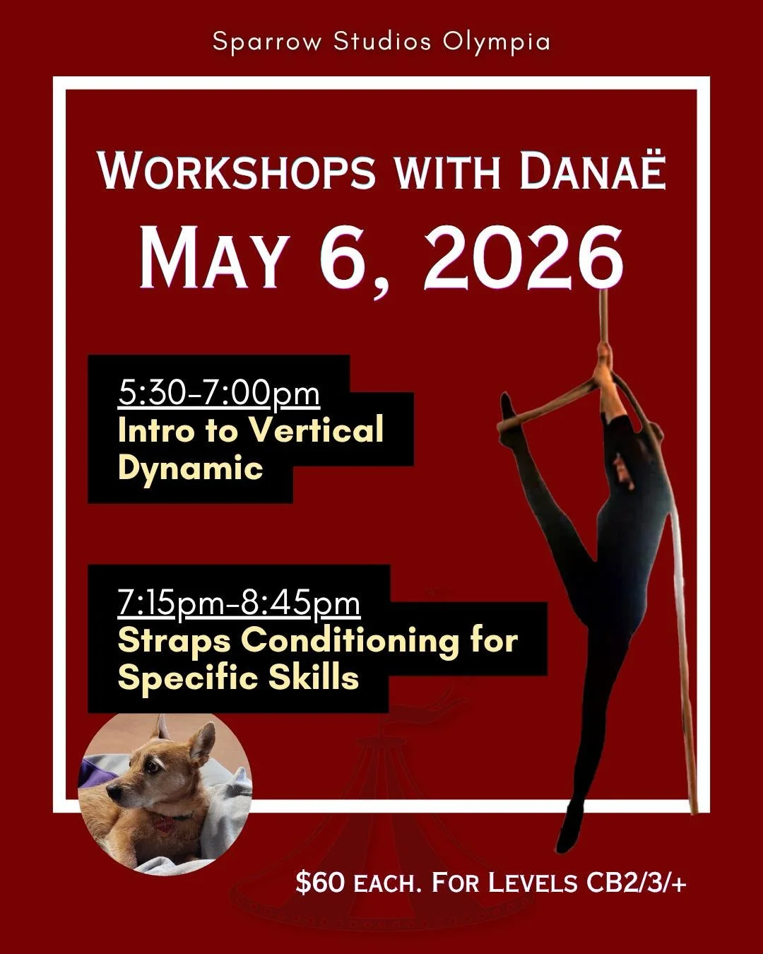 Looking for something to do during the upcoming break week (May 3-9)? Come learn from Dana&euml;! 2 workshops on May 6.

Dana&euml; has been teaching aerial arts since 2017, but she's also an experienced pilates instructor and former massage therapis