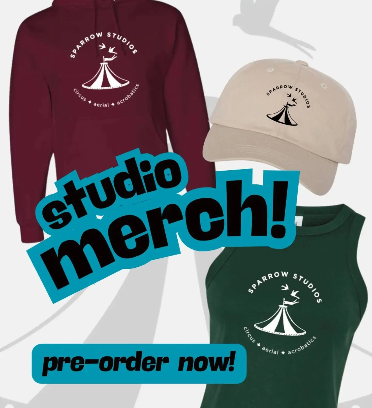 Annual merch pre-order is out! We've got sweatpants, sweatshirts, tanks, hats, and youth t-shirts. Check em out, link to order in bio

Last day to pre order is May 4.

#circusschool #circuseveryday #olyaerial #circuslife