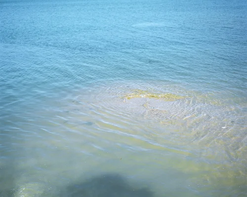 写真集 景色 凪ぐ Okay Designing