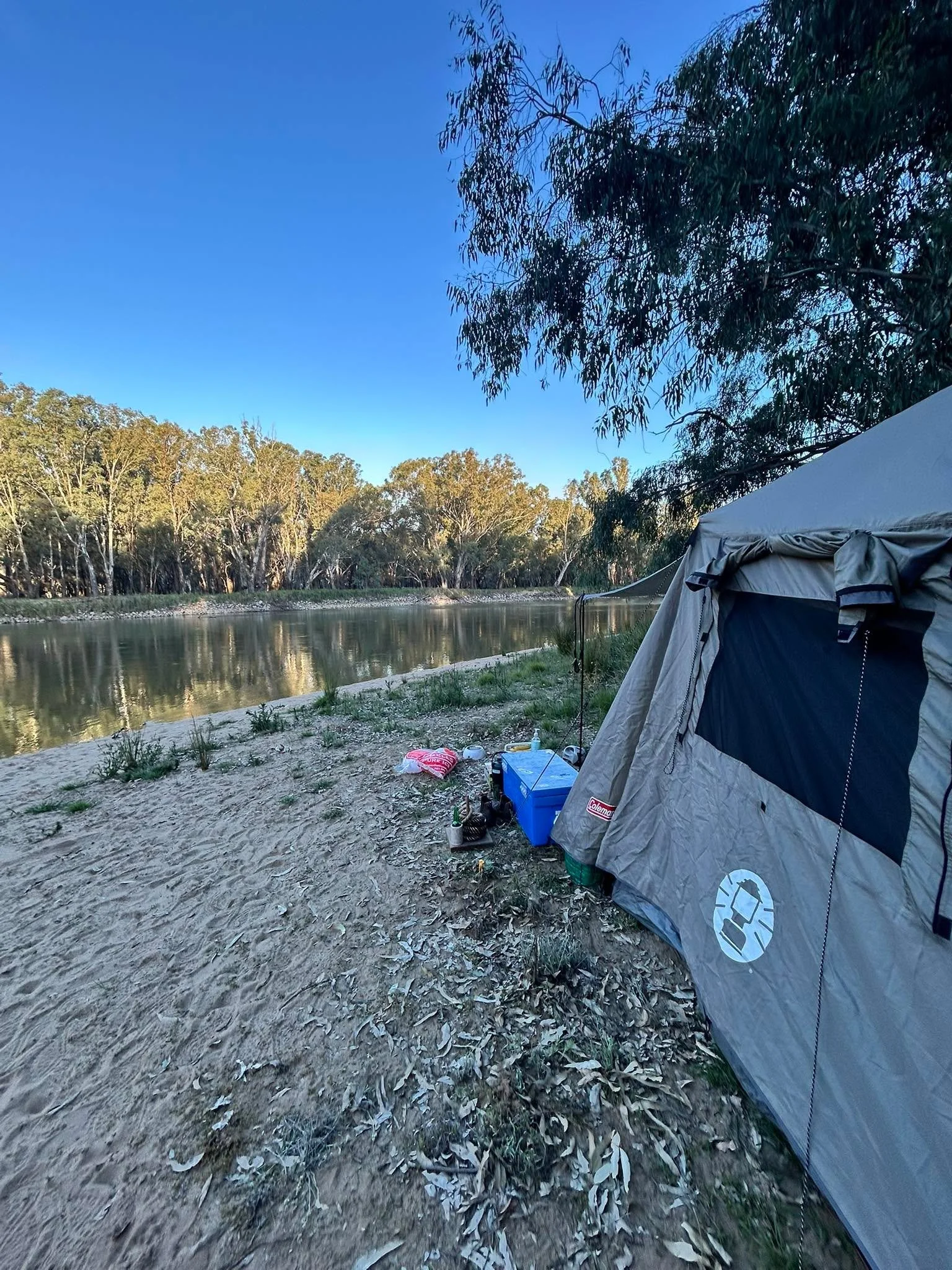 This&rsquo;ll do for the next few days. ❤️