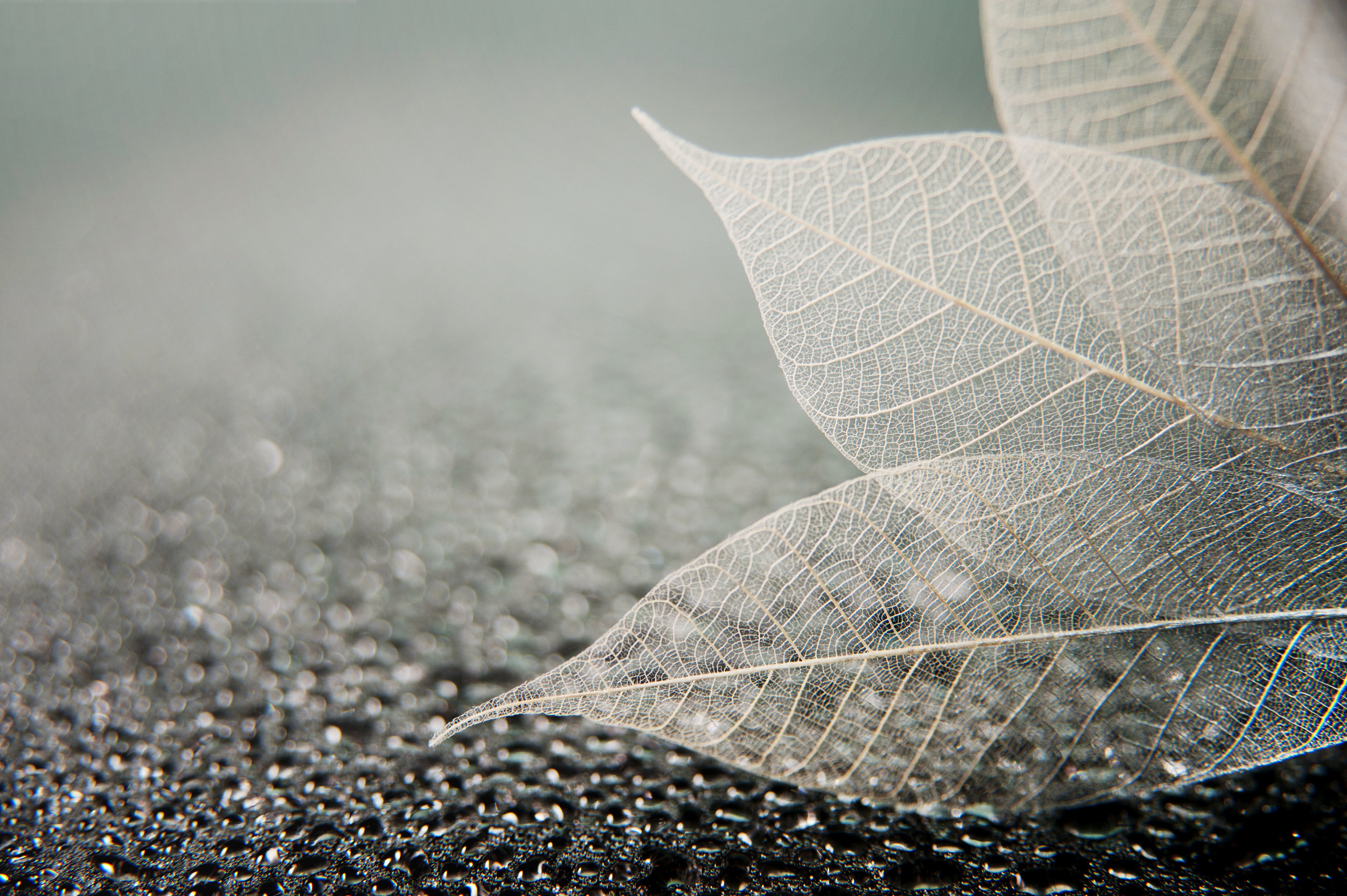 AdobeStock_179775252.jpeg